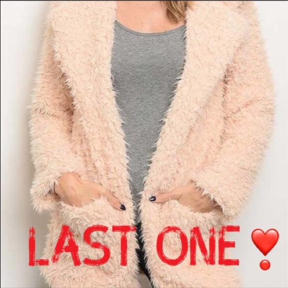 sunsparkles Jackets & Blazers - LAST ONE❣️ Open front blush faux fur teddy coat